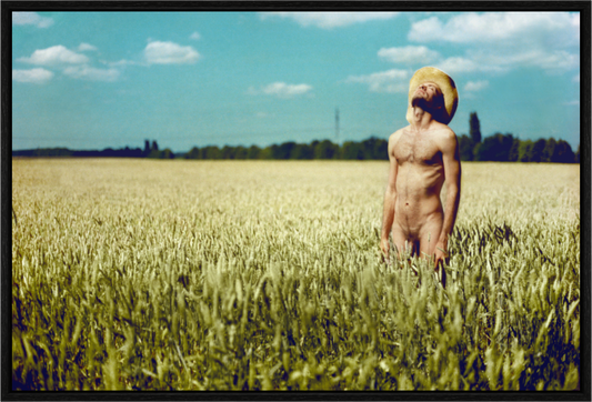 Main image Fields Road, 2014 – 80×120cm